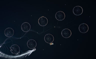Fish farming facilities in the sea